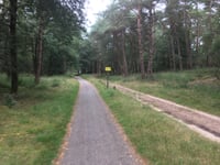 Rozendaalse Zand