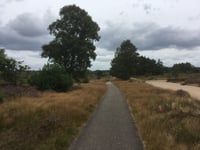 Rozendaalse Zand