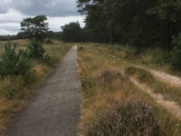 Rozendaalse Zand