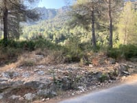 La Puigmola über Pla de Corrals