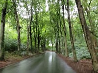 Watersley