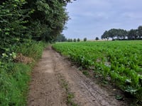 Helweg von Watersley