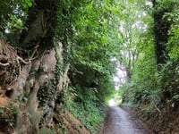 Helweg von Watersley