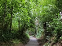 Helweg von Watersley