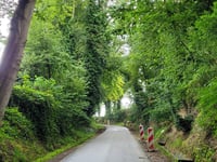 Houwnas from Grijzegrubben