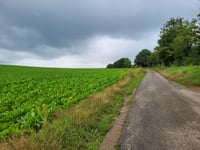 Vloedsgraaf von Schinnen