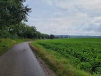 Vloedsgraaf von Schinnen