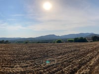 Puig de Sant Dalmau von Montcal