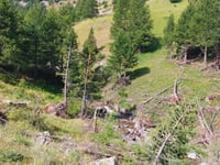 Cime de la Bonette