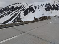 Nufenenpass da Airolo