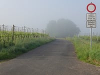 Waldkapelle Erden von Erden