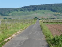In der Weiherwies von Moselweinstrasse