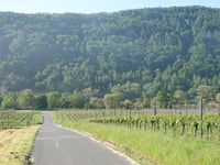 In der Weiherwies von Moselweinstrasse