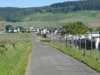 In der Weiherwies von Moselweinstrasse