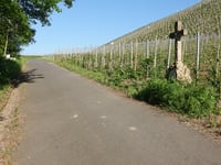 Willersbach via Borgasse