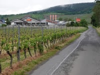 In der Weiherwies