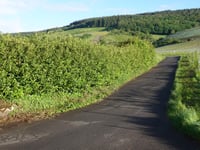 Viehbach von Kröv