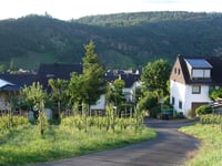 Pützbachstrasse von Kröv