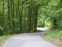 Fortflürchen von Trabener Bach