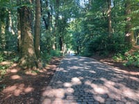 Kemmelberg