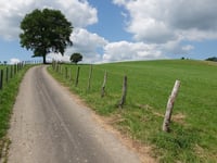 Leithum über Chemin vers Riller