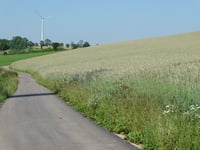 Fossenhof von Laangbaach