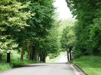 Rue Ma Campagne von Dison Corbeau