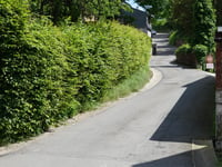 Rue Ma Campagne von Dison
