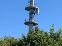 Rösterkopf von Pluwigerhammer