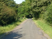 Rue Hûta von Croix Papet