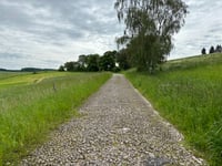 Michelsberg via Mahlberg