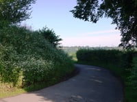 Mont Theux via Route de la Carrière
