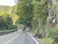 Transfăgărășan von Lacul Vidraru