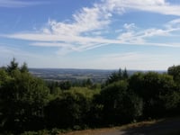 Bois des Échelles von Galachoux