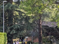 Arosio da Gravesano