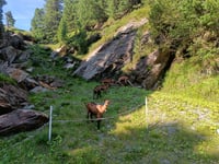 Kaunertaler Gletscherstrasse from Prutz