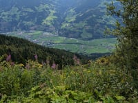Melchboden depuis Zell am Ziller par Zillertaler Höhenstrasse