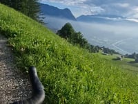 Malbun von Vaduz über Rotenboden