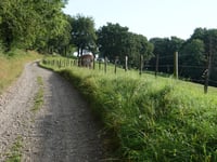 Snauwenberg da ’s-Gravenvoeren