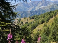 Colle di Sampeyre von Stroppo