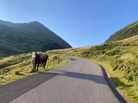 Sölkpass von Schöder