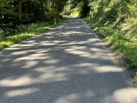 Unnerküppel da Kammerburg im Wispertal
