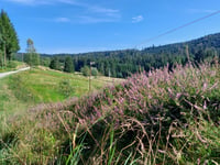 La Pépinière des Xettes przez Chemin de la Trinité