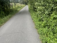Bergenbroek