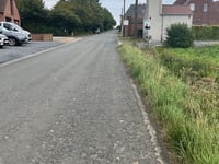 Butor von Chemin Vert