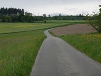 Götzeroth przez Emmeroth