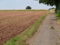 Bergheim über Rosenhof