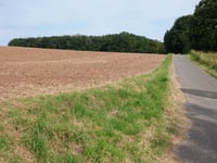 Bergheim über Rosenhof