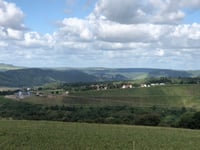 Neunhäuserwald von Serrig