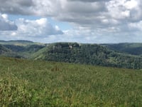 Neunhäuserwald von Serrig